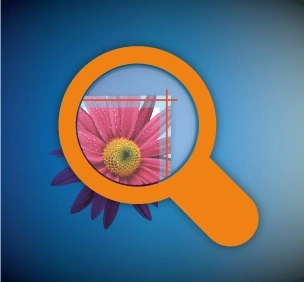 Image Bleed File Check Page